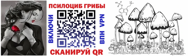 Купить  Новоалександровск  Псилоцибиновые грибы Cubensis 